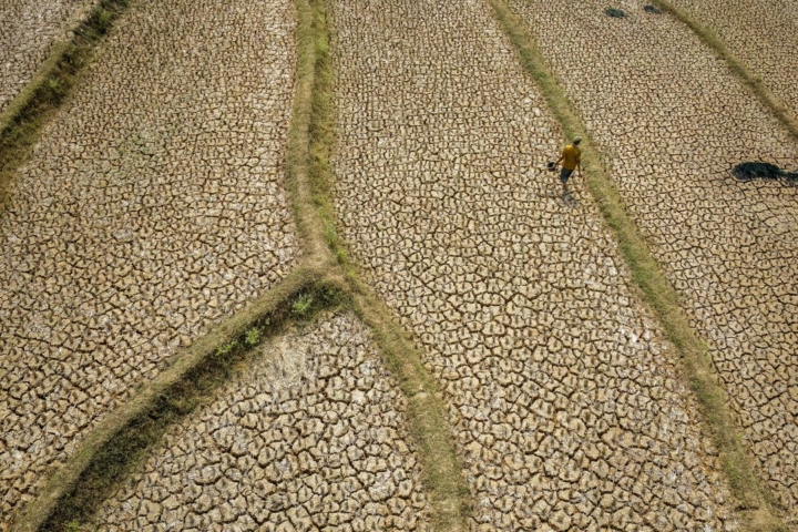 A dried-up rice field caused by a prolonged dry season at Wening Galih village in Bogor, West Java on August 28, 2026. The drought in the region has lasted for the past three months. (Aditya Aji/AFP/Getty Images)